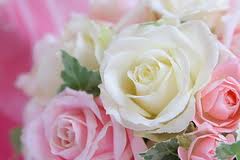 バラ(薔薇)