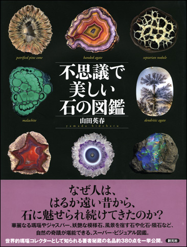 石図鑑.jpg